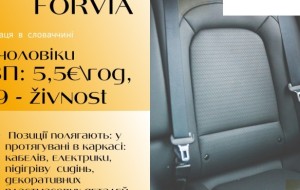 Працівники на завод Forvia, SK, Lozorno, Словаччина