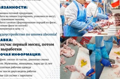 Работа на курином мясокомбинате Unimięs, PL, Poland, Польща