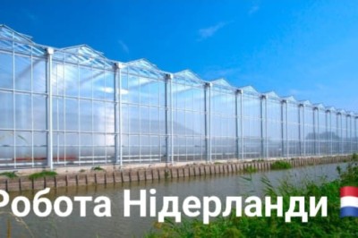 Роботи в теплицях з квітами,Нідерланди NL Netherlands
